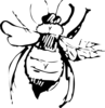 Top View Of A Bee Drawing Clip Art